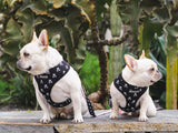 Frenchie Duo Reversible Harness - Bad To The Bone from Frenchie Bulldog