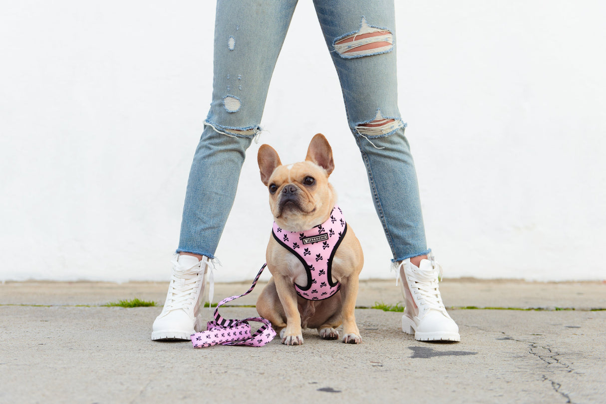 Frenchie Duo Reversible Harness - Pink Bad to the Bone from Frenchie Bulldog