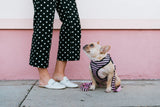 Frenchie Duo Reversible Harness - Pink Bad to the Bone from Frenchie Bulldog