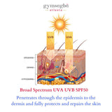 Habaek Sun Protection Body Moisturizer SPF50 Broad Spectrum from gymsegbë