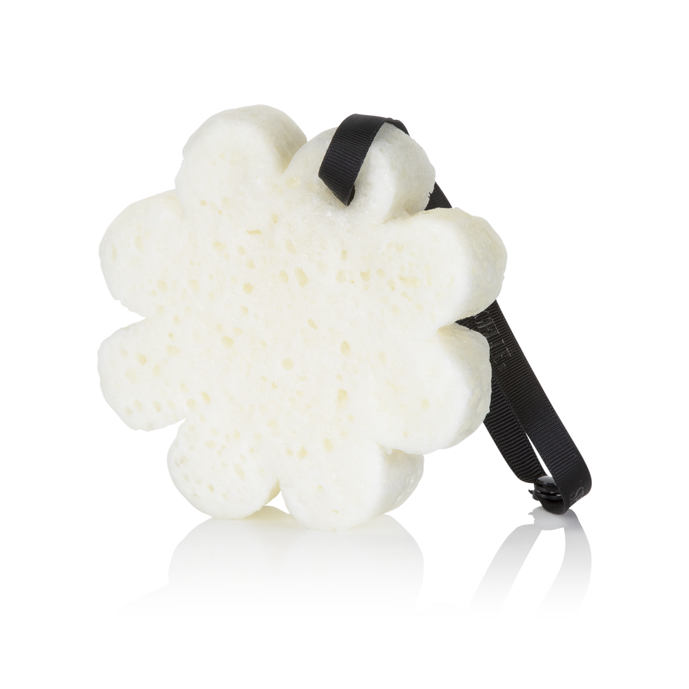 Sego Lily | Elevation Boxed Flower from Spongellé