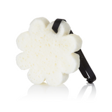 Autumn Bloom | Boxed Flower from Spongellé