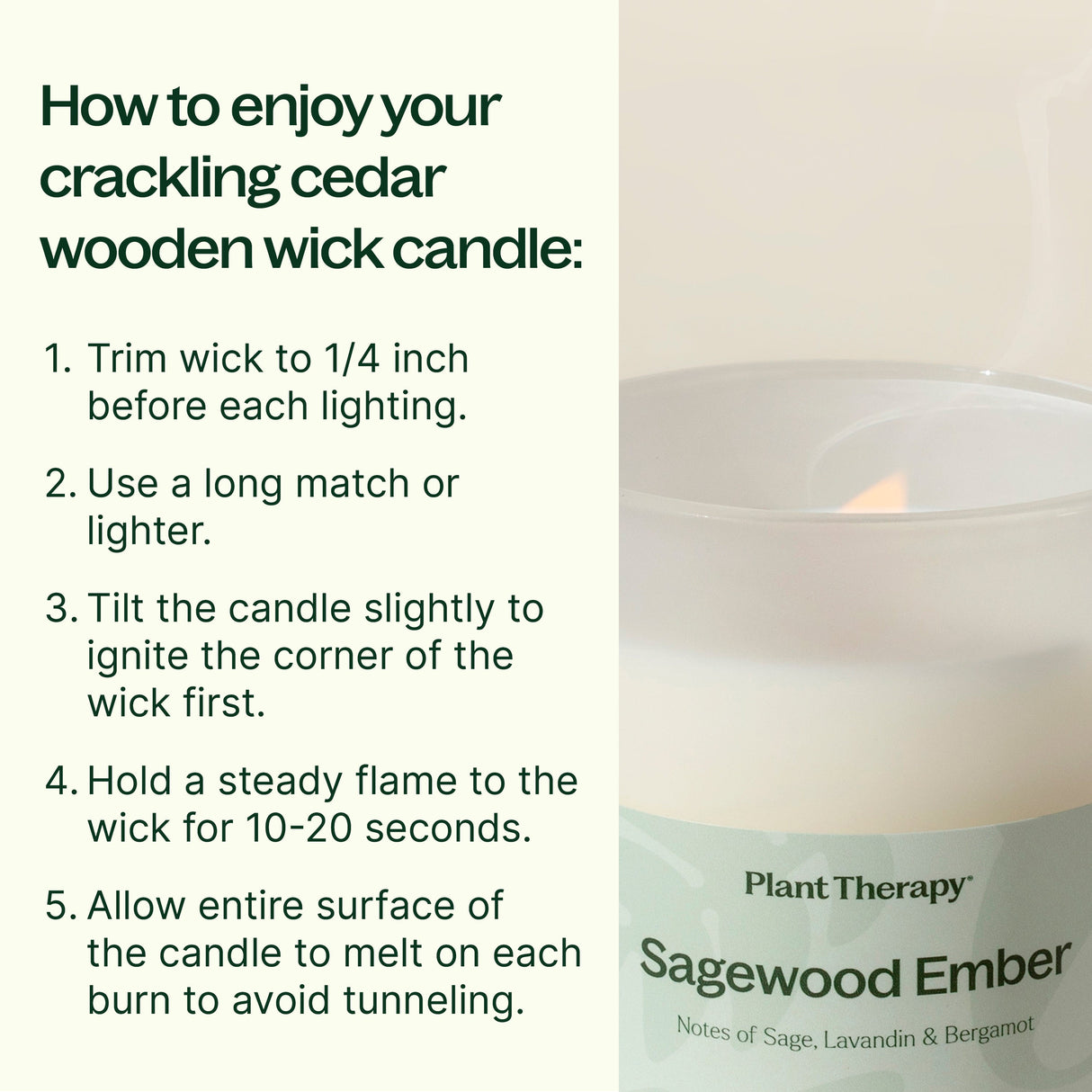 Sagewood Ember Naturally Scented Candle from Plant Therapy