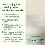 Sagewood Ember Naturally Scented Candle from Plant Therapy