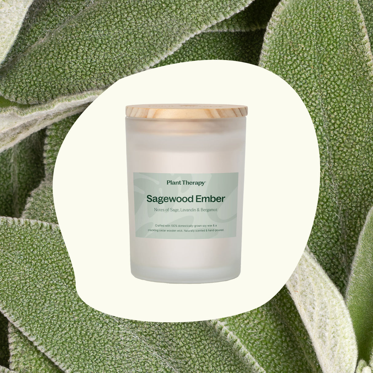 Sagewood Ember Naturally Scented Candle from Plant Therapy
