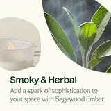 Sagewood Ember Naturally Scented Candle from Plant Therapy