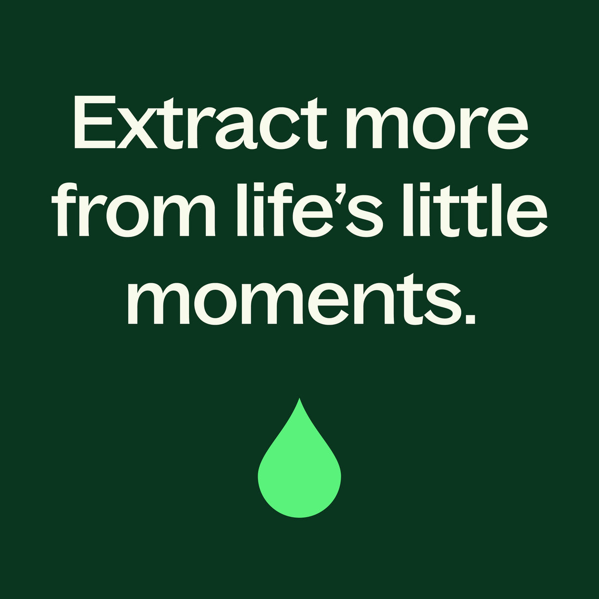 Sagewood Ember Naturally Scented Candle from Plant Therapy