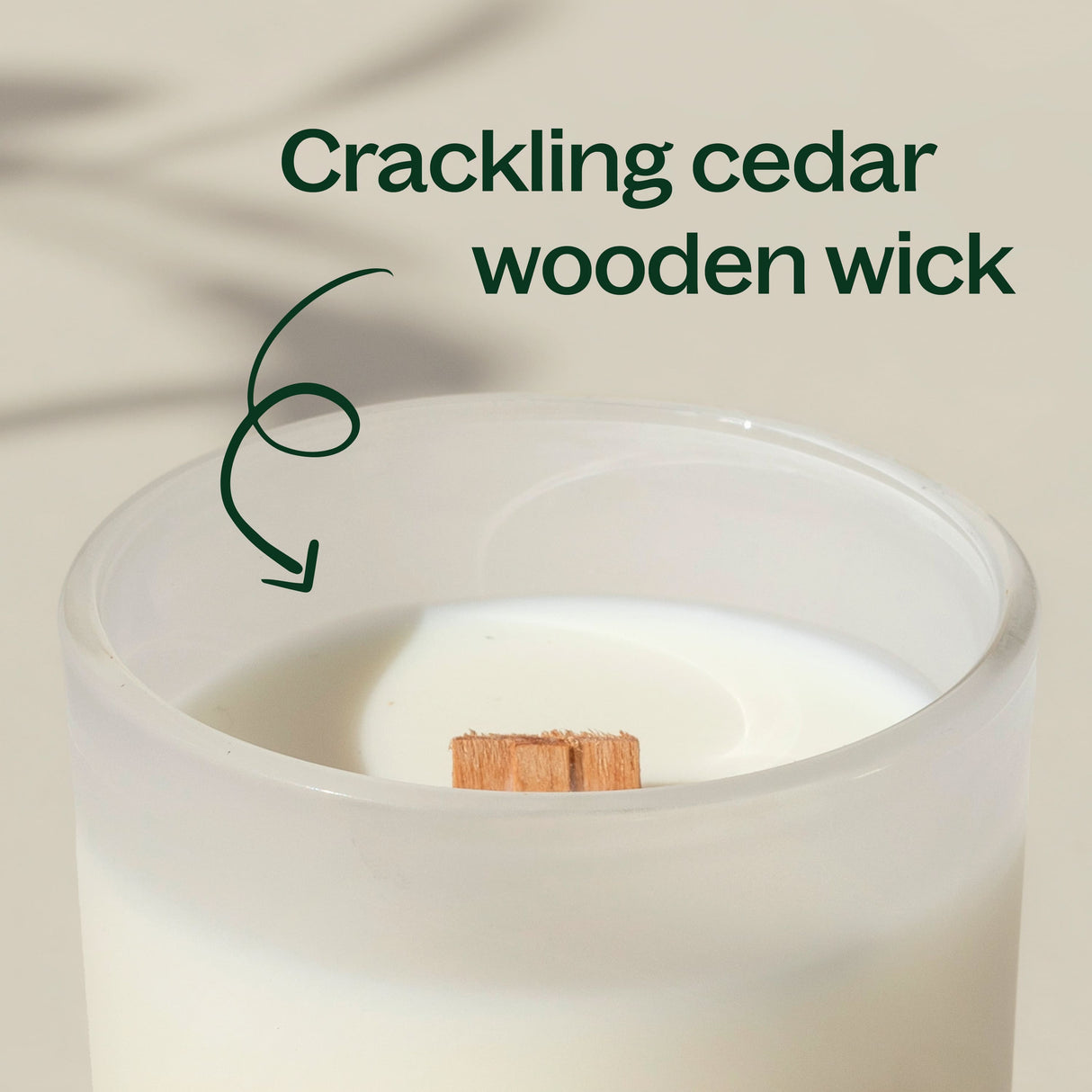 Sagewood Ember Naturally Scented Candle from Plant Therapy