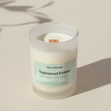 Sagewood Ember Naturally Scented Candle from Plant Therapy