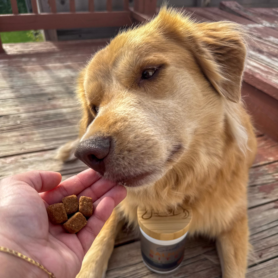 Soothe Salmon Bites Skin and Coat Care From buddyrest.com