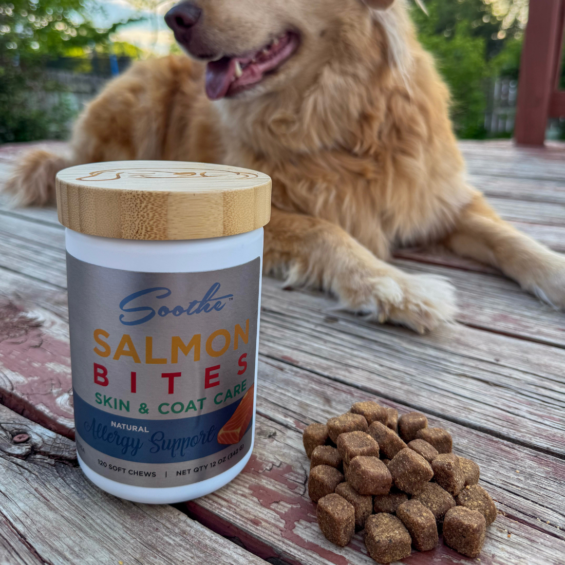 Soothe Salmon Bites Skin and Coat Care From buddyrest.com