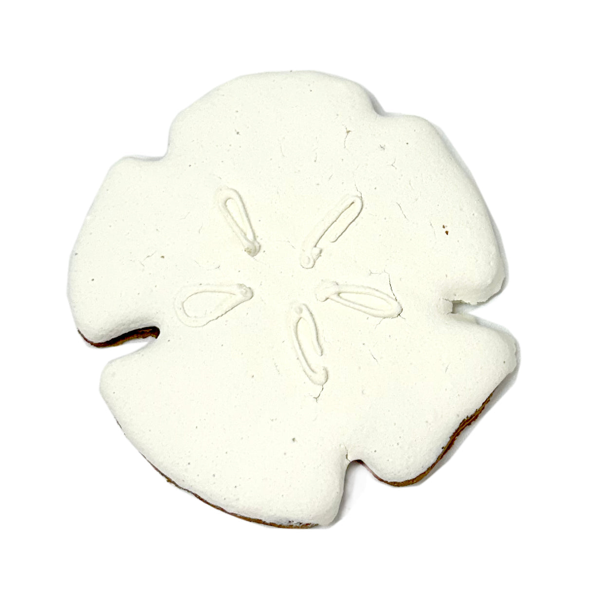 Sand Dollar from Bubba Rose Biscuit Co.