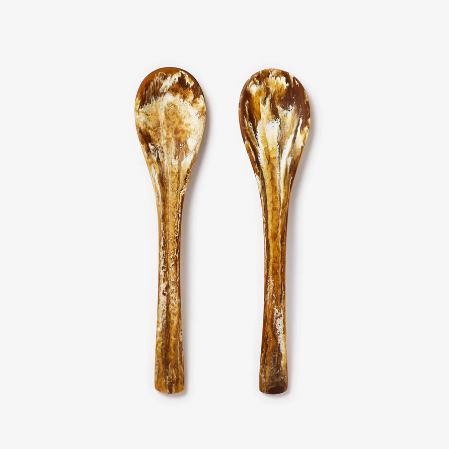 Resin Sugar + Spice Spoon From Abroad Modern