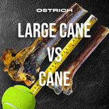 Large Ostrich Cane (11.5" x 5"): The Ultimate Long-Lasting Chew for Medium, Large & XL Dogs from Savannah Pet Food