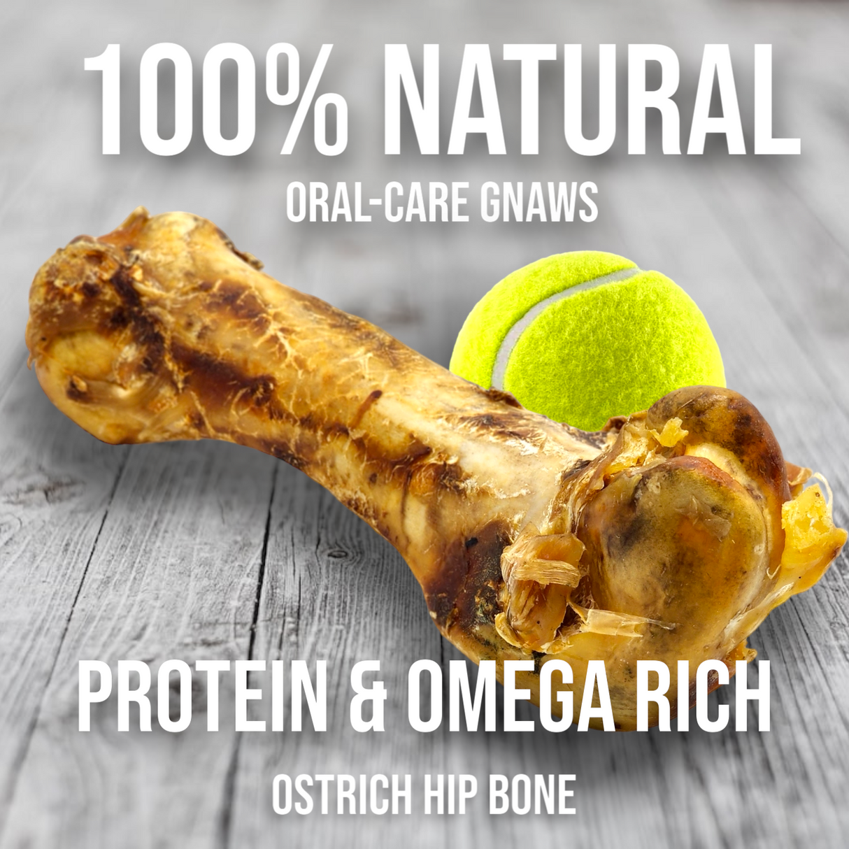 Ostrich Hip Bone (12" x 5"x 3”): The Durable, Flavor-Packed Chew for Medium & Large Dogs from Savannah Pet Food