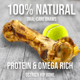 Ostrich Hip Bone (12" x 5"x 3”): The Durable, Flavor-Packed Chew for Medium & Large Dogs from Savannah Pet Food