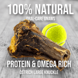 Ostrich Knuckle (Medium – 4" x 3"): The Perfect Chew for Small to Medium Dogs & Sensitive Stomachs from Savannah Pet Food
