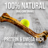 Ostrich Long Bone (19" x 3.5"): The Ultimate Challenge for Medium, Large & Extra-Large Dogs from Savannah Pet Food