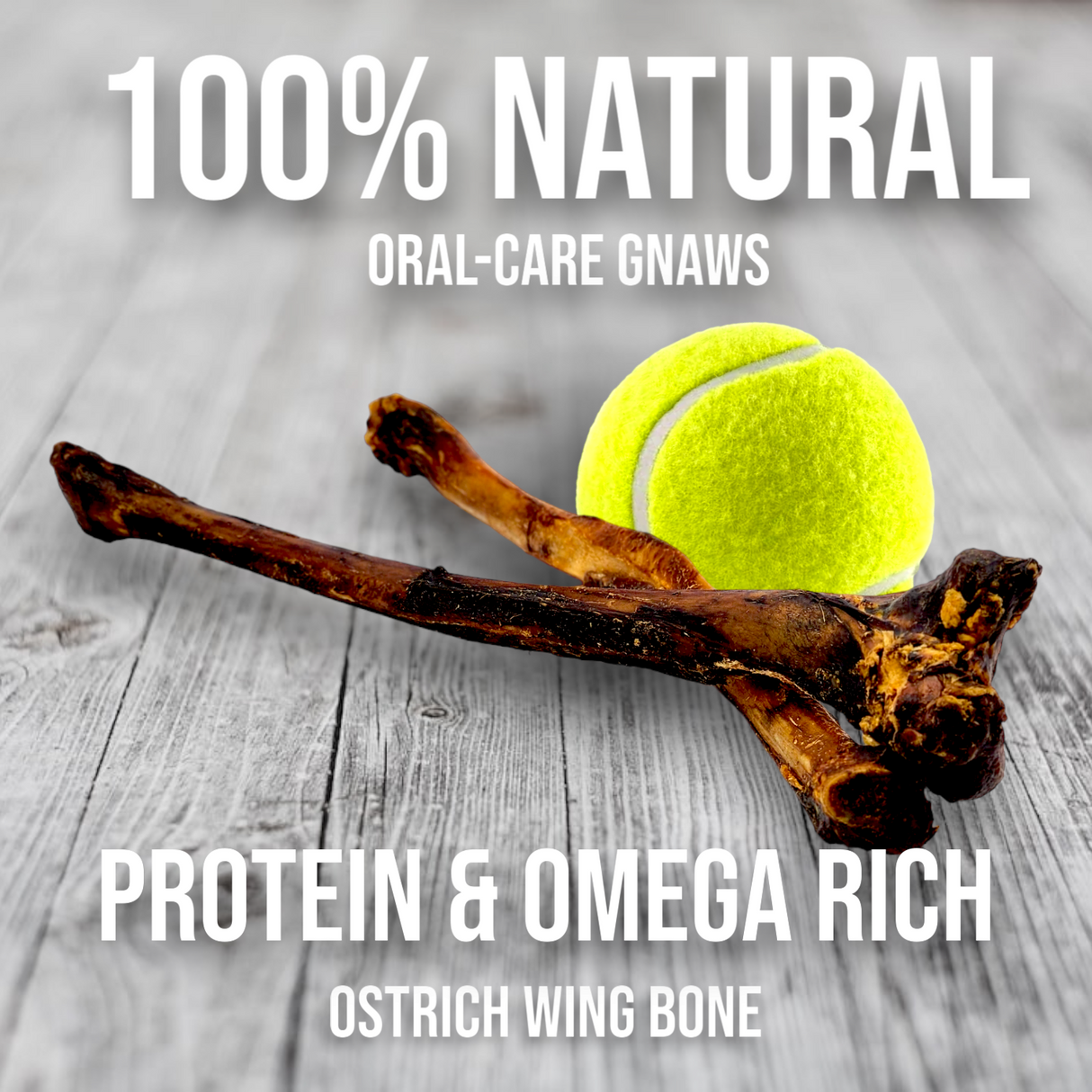 Ostrich Wing Bone (13" x 1.5"): The Ultimate Long-Lasting Chew for Small Dogs & Light Chewers from Savannah Pet Food