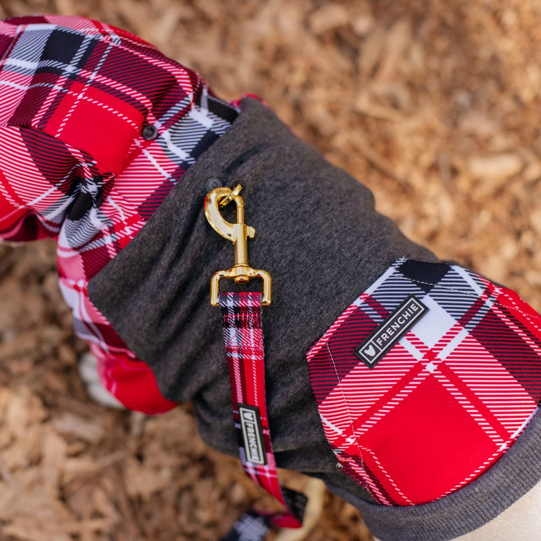 Frenchie Dog Hoodie - Scarlet Plaid from Frenchie Bulldog