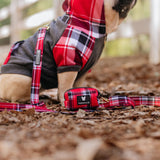 Frenchie Dog Hoodie - Scarlet Plaid from Frenchie Bulldog