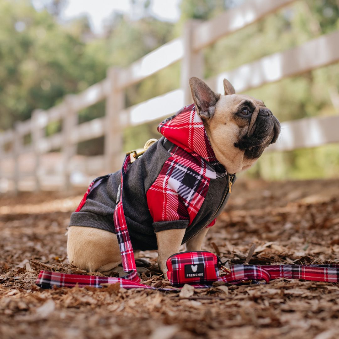 Frenchie Dog Hoodie - Scarlet Plaid from Frenchie Bulldog