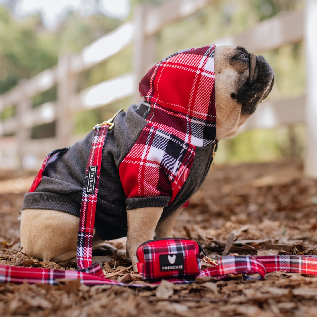 Frenchie Dog Hoodie - Scarlet Plaid from Frenchie Bulldog