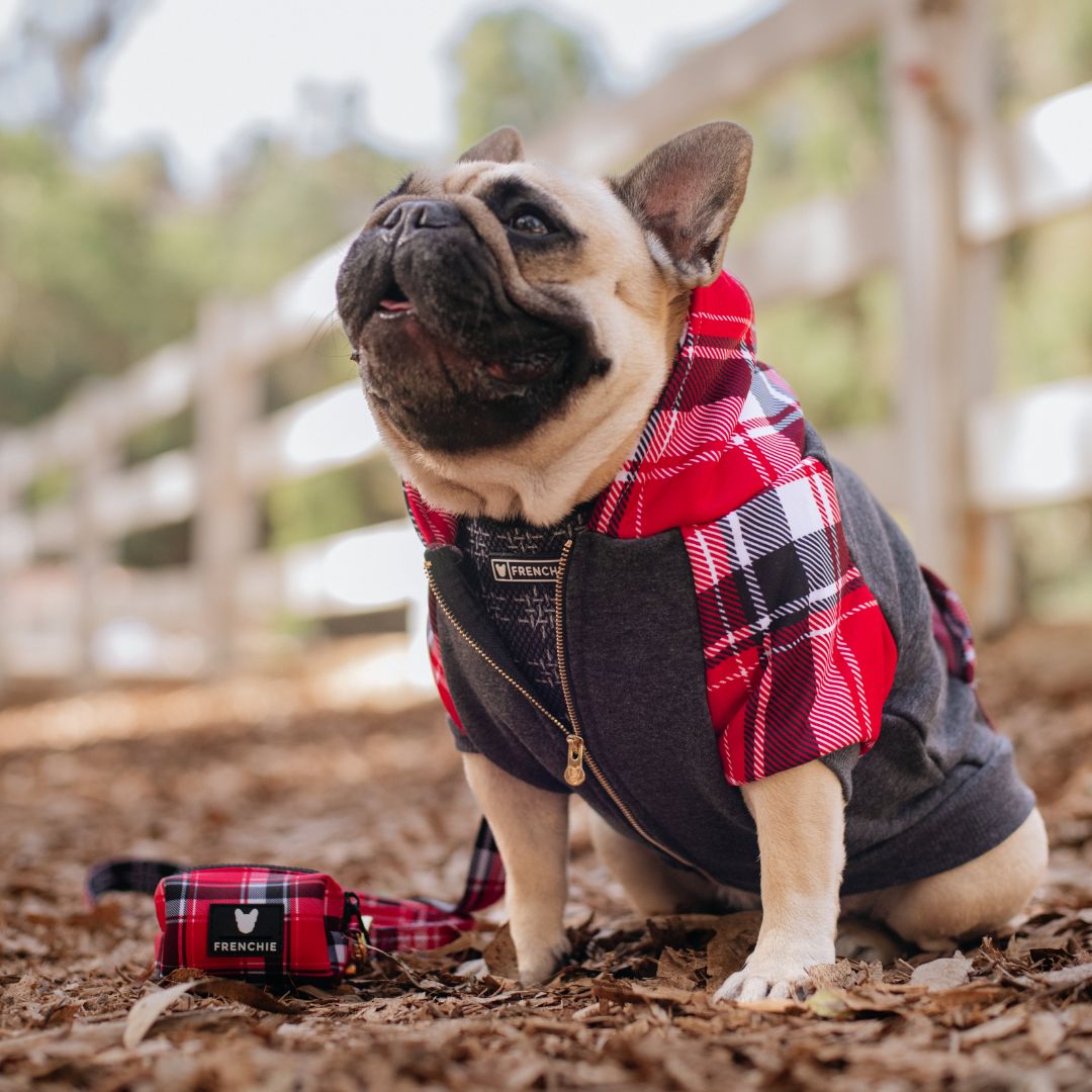 Frenchie Dog Hoodie - Scarlet Plaid from Frenchie Bulldog