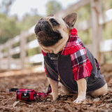 Frenchie Dog Hoodie - Scarlet Plaid from Frenchie Bulldog