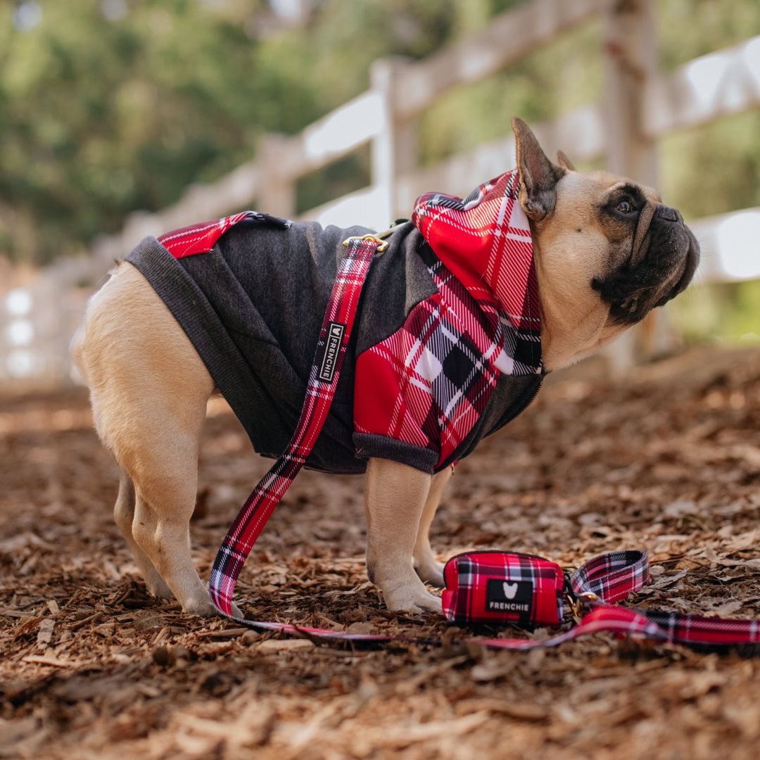 Frenchie Dog Hoodie - Scarlet Plaid from Frenchie Bulldog