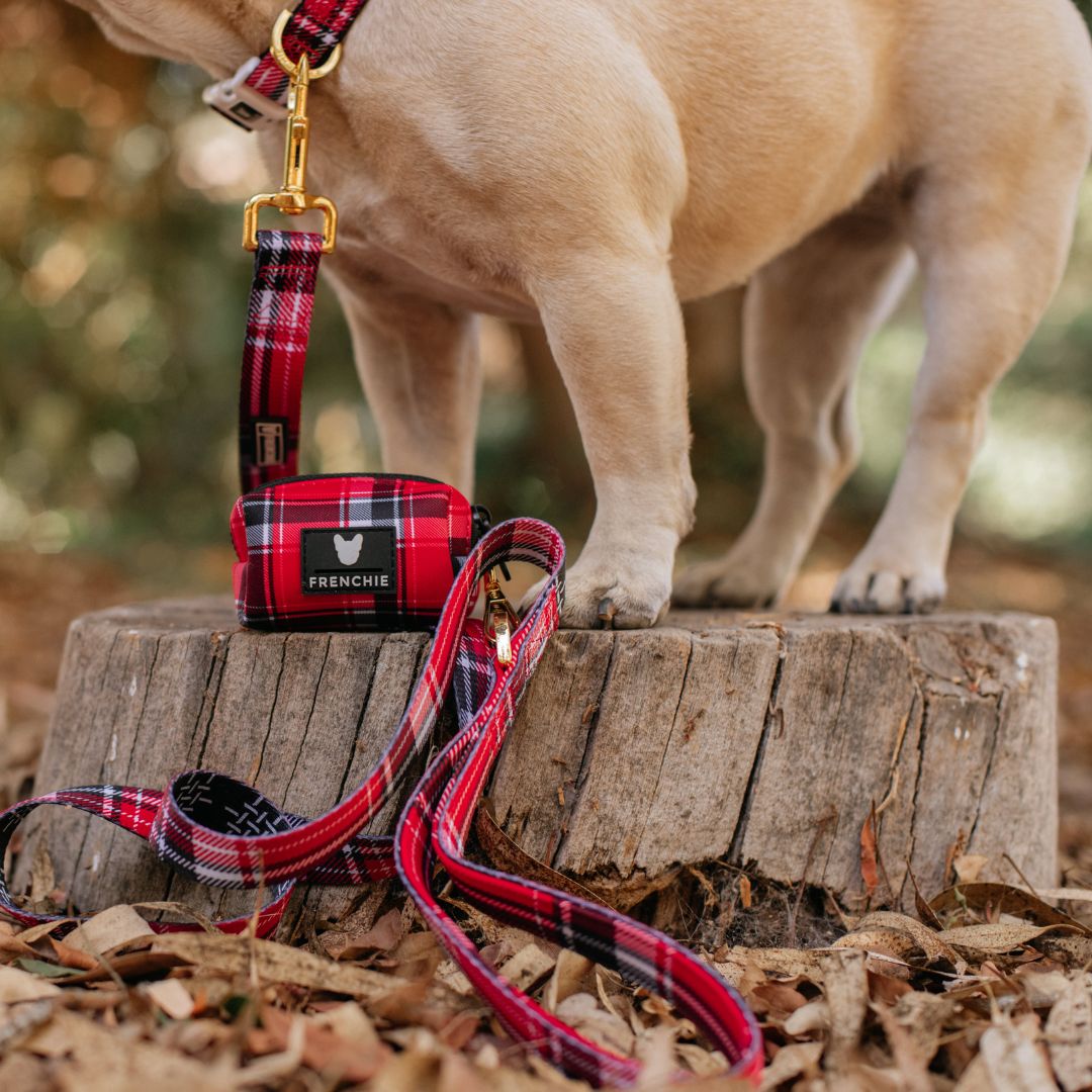 Frenchie Comfort Leash - Scarlet Plaid from Frenchie Bulldog