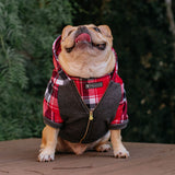 Frenchie Dog Hoodie - Scarlet Plaid from Frenchie Bulldog