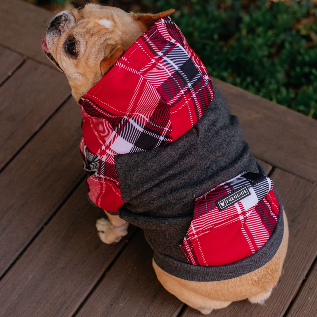 Frenchie Dog Hoodie - Scarlet Plaid from Frenchie Bulldog