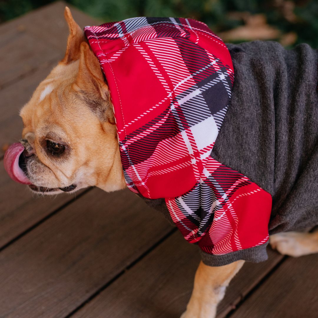 Frenchie Dog Hoodie - Scarlet Plaid from Frenchie Bulldog