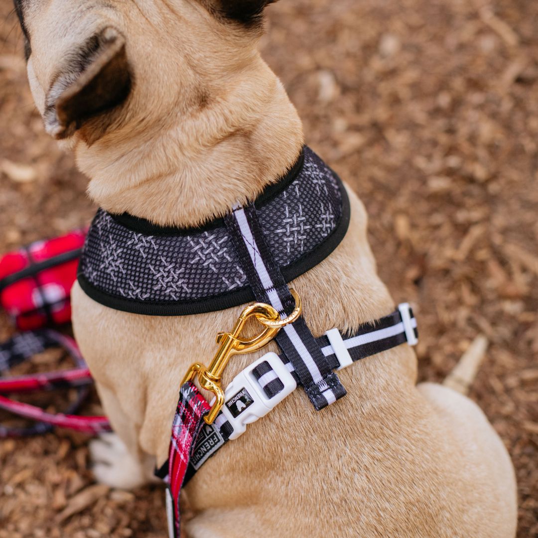 Frenchie Duo Reversible Harness - Scarlet Plaid from Frenchie Bulldog
