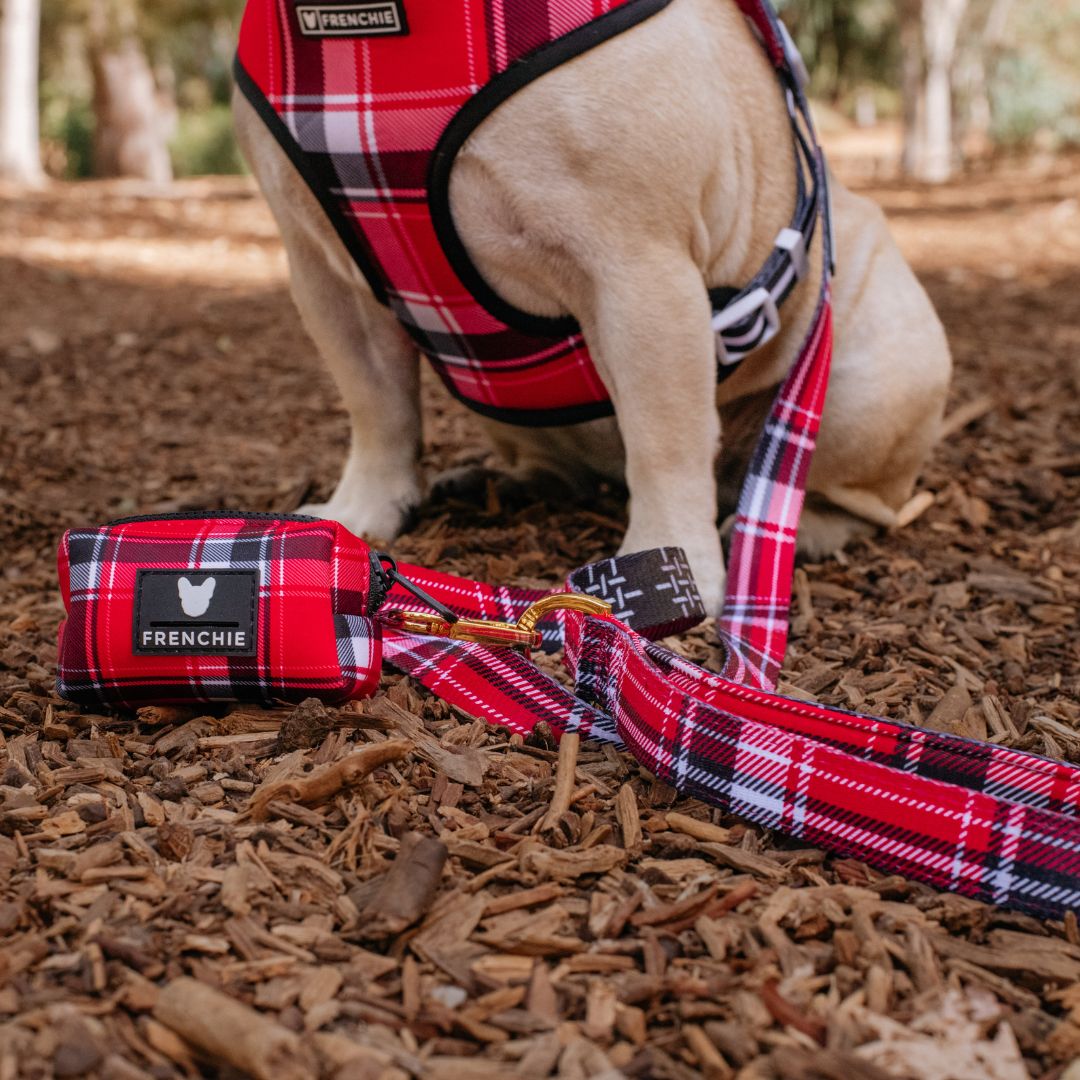 Frenchie Comfort Leash - Scarlet Plaid from Frenchie Bulldog