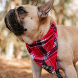 Frenchie Cooling Bandana - Scarlet Plaid from Frenchie Bulldog