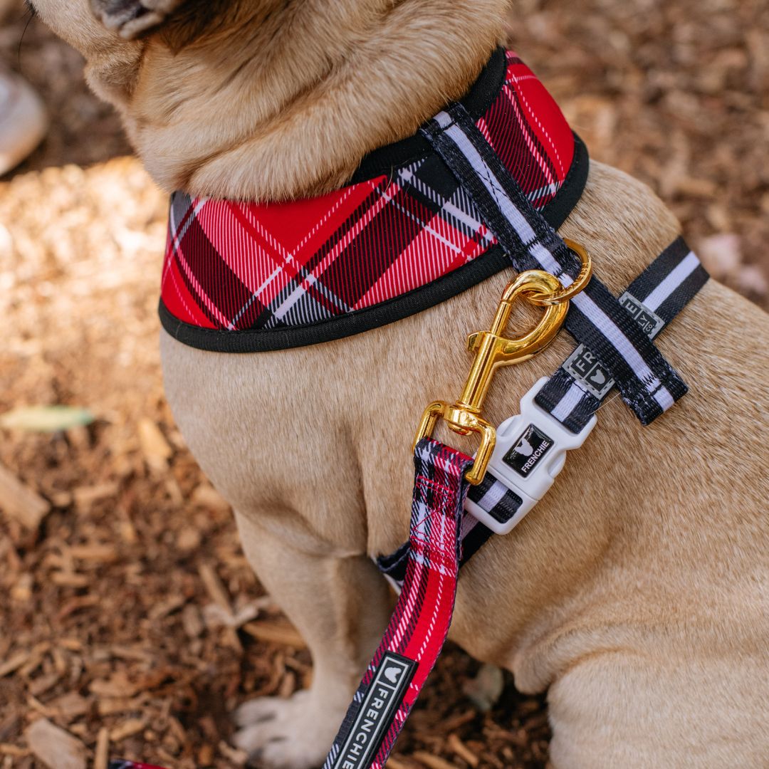 Frenchie Duo Reversible Harness - Scarlet Plaid from Frenchie Bulldog