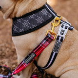 Frenchie Duo Reversible Harness - Scarlet Plaid from Frenchie Bulldog