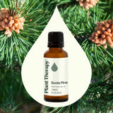 Scott's Pine Essential Oil from Plant Therapy