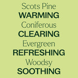 Scott's Pine Essential Oil from Plant Therapy