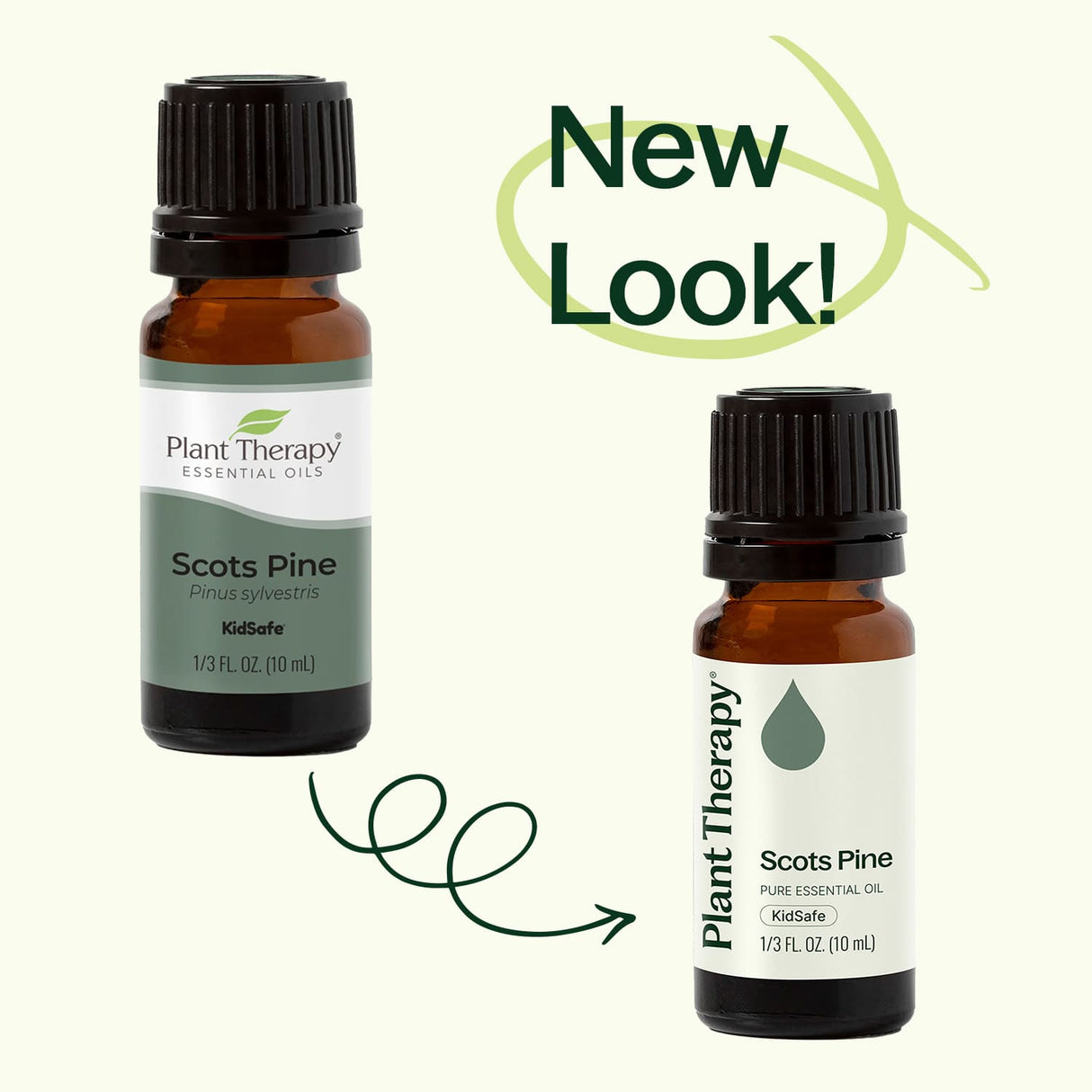 Scott's Pine Essential Oil from Plant Therapy