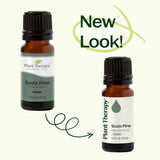 Scott's Pine Essential Oil from Plant Therapy
