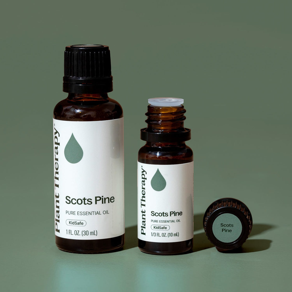 Scott's Pine Essential Oil from Plant Therapy