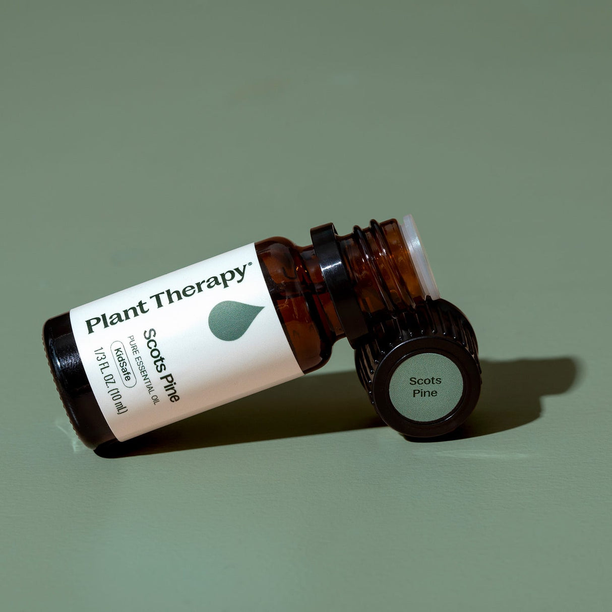 Scott's Pine Essential Oil from Plant Therapy