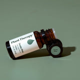 Scott's Pine Essential Oil from Plant Therapy