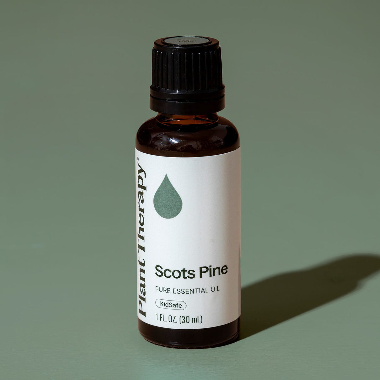 Scott's Pine Essential Oil from Plant Therapy