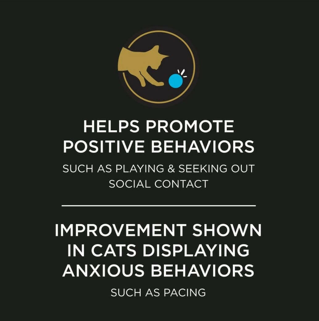 Purina Pro Plan Veterinary Supplements Calming Care for Cats from HardyPaw