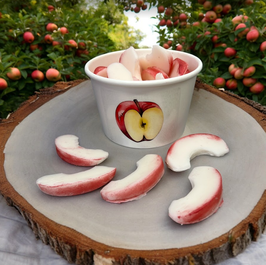 APPLE SLICES Wax Melts | Fake Food | Apple & Cinnamon Scented | 4 oz From Eartherella Soap & Candle Co.