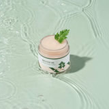 Mugwort Calming Cream From Masksheets